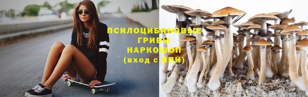 тгк Кукмор