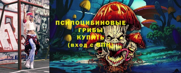 тгк Кукмор