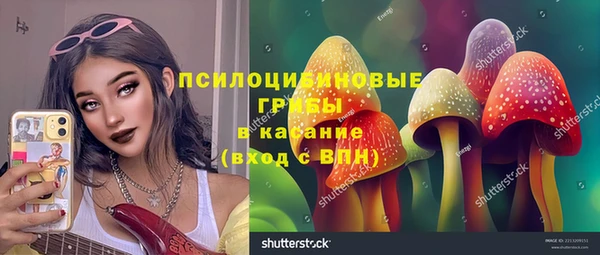тгк Кукмор