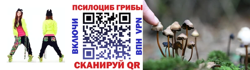 Псилоцибиновые грибы Psilocybe  Купить закладки  Острогожск 